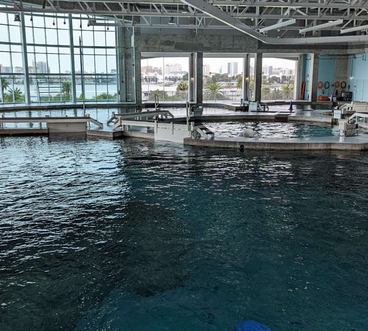 Clearwater Marine Aquarium (Clearwater&nbspBeach,&nbspFL)